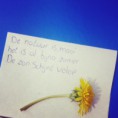 /album/fotogallerij/image-jpeg1/
